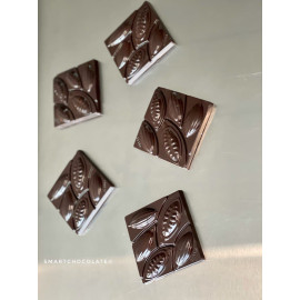 SmartChocolate® PRALINE & HAZELNUT 75g